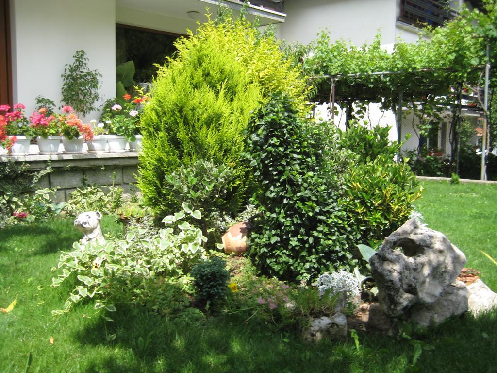 Slavina Guest House Sapareva Banya Exterior foto